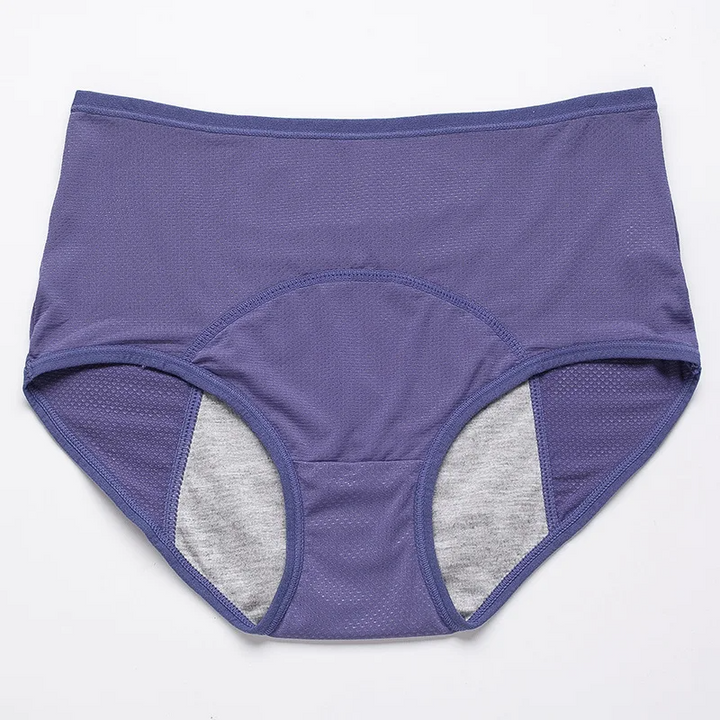 Leakproof High Waisted Slip (Grey/Blue)